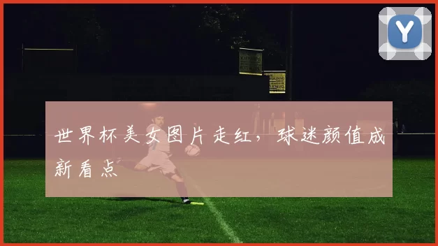 世界杯美女图片走红,球迷颜值成新看点