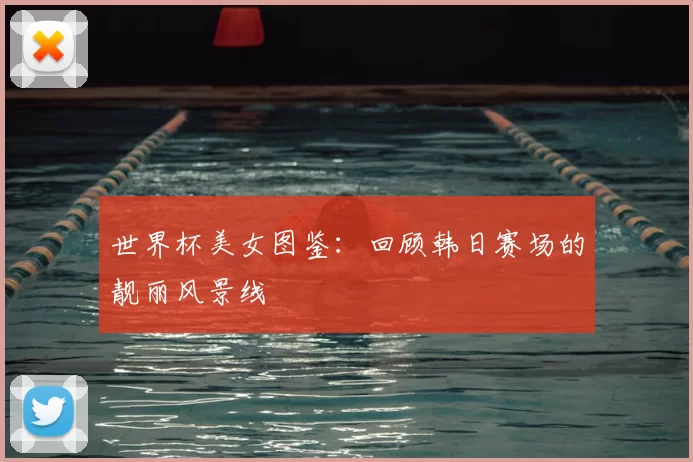 世界杯美女图鉴：回顾韩日赛场的靓丽风景线
