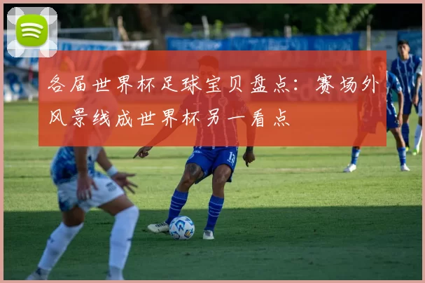 各届世界杯足球宝贝盘点:赛场外风景线成世界杯另一看点