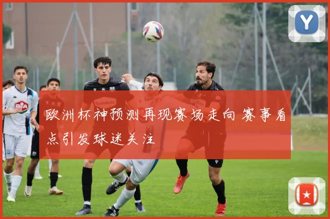 欧洲杯神预测再现赛场走向 赛事看点引发球迷关注