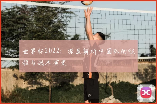 世界杯2022:深度解析中国队的征程与战术演变