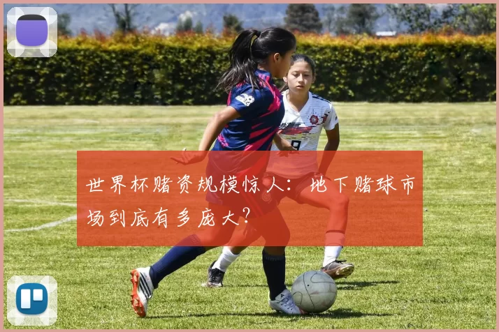 世界杯赌资规模惊人:地下赌球市场到底有多庞大?