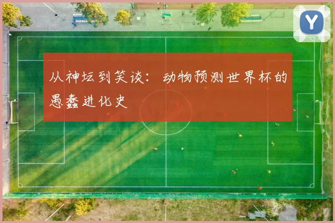 从神坛到笑谈：动物预测世界杯的愚蠢进化史