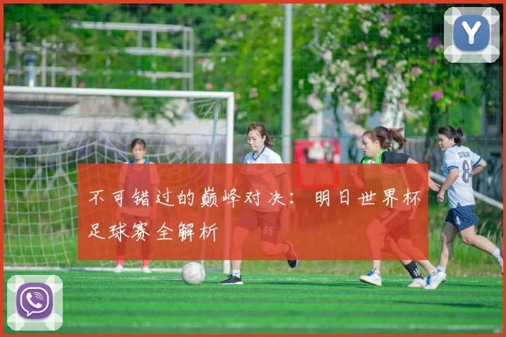 不可错过的巅峰对决:明日世界杯足球赛全解析