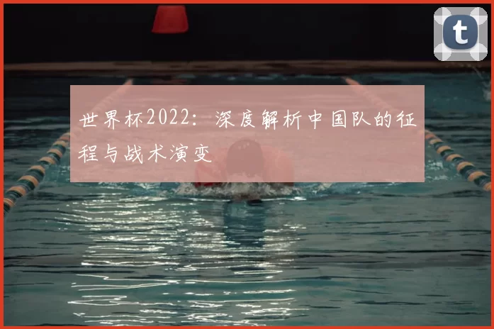 世界杯2022:深度解析中国队的征程与战术演变