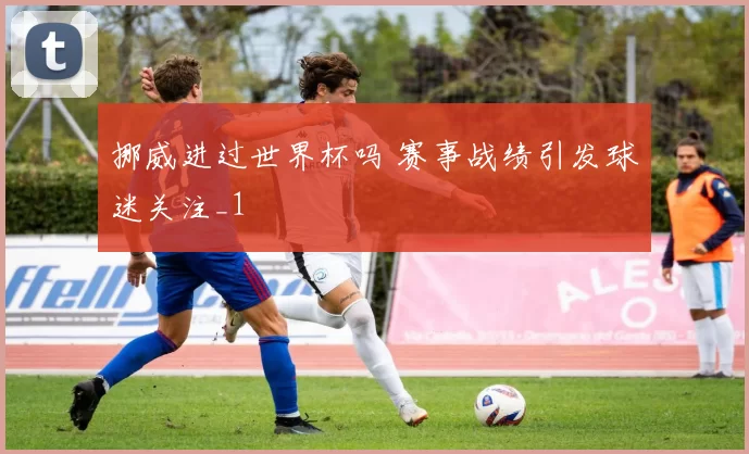 挪威进过世界杯吗 赛事战绩引发球迷关注_1