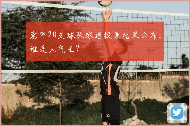 意甲20支球队球迷投票结果公布：谁是人气王？