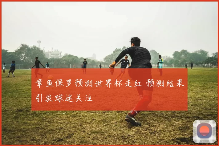 章鱼保罗预测世界杯走红 预测结果引发球迷关注