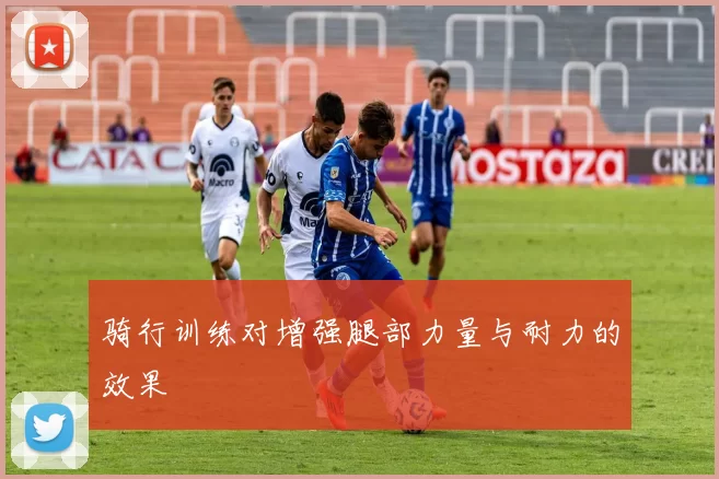 骑行训练对增强腿部力量与耐力的效果