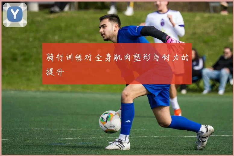 骑行训练对全身肌肉塑形与耐力的提升