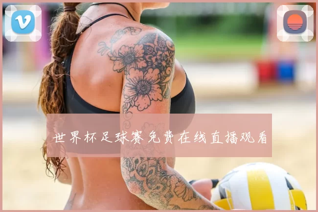 世界杯足球赛免费在线直播观看