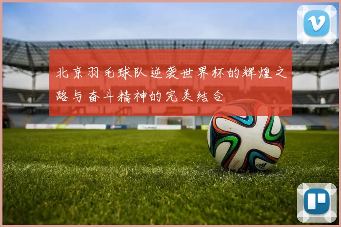 北京羽毛球队逆袭世界杯的辉煌之路与奋斗精神的完美结合