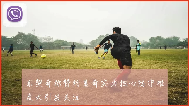 东契奇称赞约基奇实力担心防守难度大引发关注