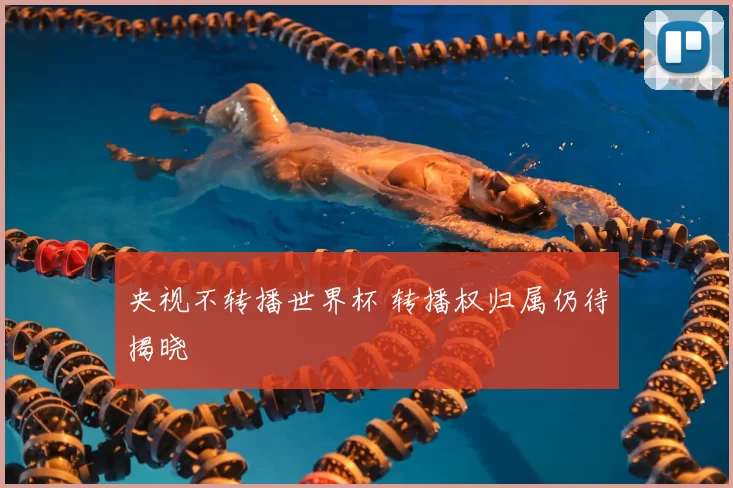 央视不转播世界杯 转播权归属仍待揭晓