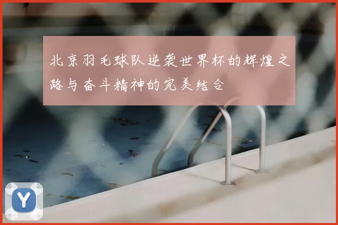 北京羽毛球队逆袭世界杯的辉煌之路与奋斗精神的完美结合